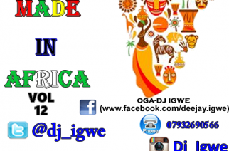 Made in Africa Vol 12 (Audio & Video) by Dj Igwe