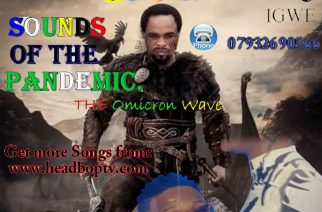 Sounds of the Pandemic (The Omicron Wave) by DJ IGWE